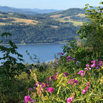 Columbia River Gorge, Oregon, 8/2017