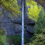 Latourell Falls, Columbia River Gorge, Oregon, 8/2017