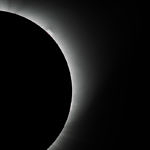 Prominence during Total Solar Eclipse, Madras, Oregon, 8/2017