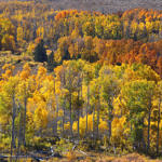 Conway Summit, Eastern Sierra, California, 10/2011