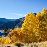 June Lake Loop, Eastern Sierra, California, 10/2011