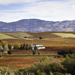 Napa Valley Fall Color, Silverado Trail, Napa, California, 11/2015