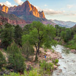 The Watchman at Sunset, Zion National Park, Utah, 8/2008