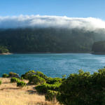 Crystal Springs Reservoir, San Mateo, California, 7/2007
