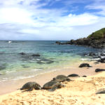 Ho'okipa Beach Park, Road to Hana, Maui, Hawaii, 8/2016